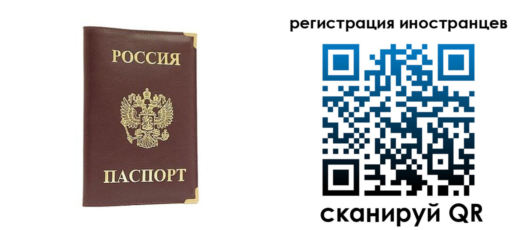 регистрация в Клинцах